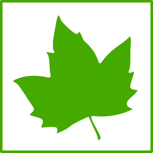 clipart green maple leaf - photo #17