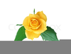 Clipart Gelbe Rosen Image