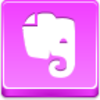 Free Pink Button Evernote Image