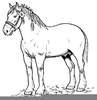 Horses Cartoon Cliparts Image