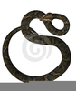 Curled Brown Snake Clipart Image