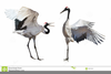 Clipart Japanese Cranes Image