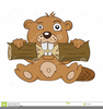 Free Clipart Of A Cartoon Beaver Image