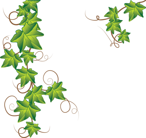 free clip art leaves and vines - photo #17