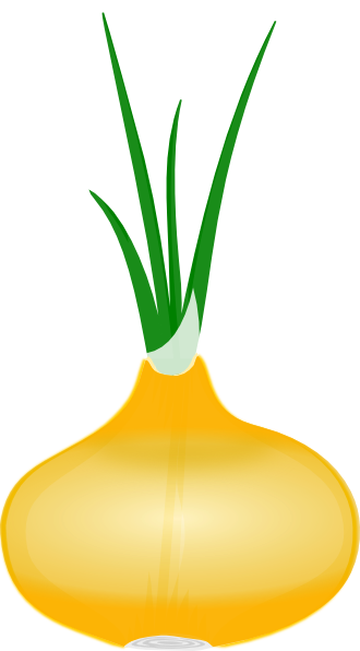 clipart of onion - photo #8