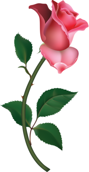 clipart rose bud - photo #5