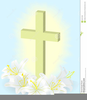 White Lilies Clipart Image