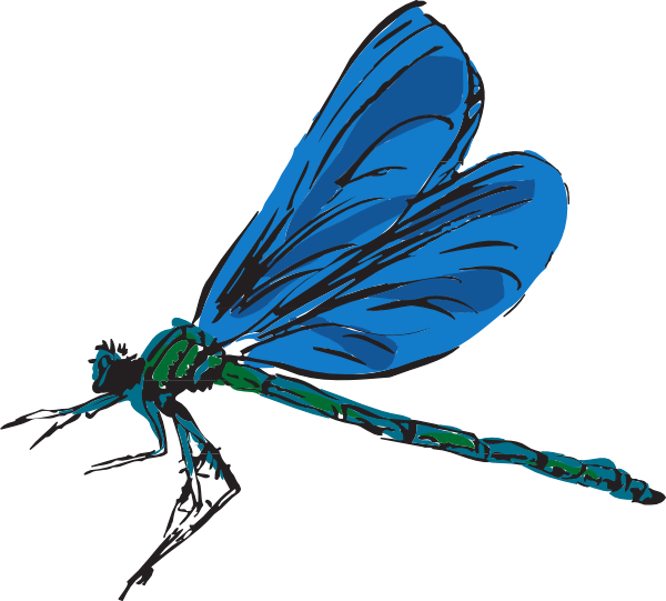 dragonfly clipart - photo #3