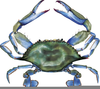 Crab Legs Clipart Image