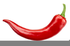 Chili Peppe Clipart Image