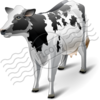 Cow 16 Image