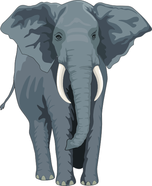 elephant clipart front view - photo #2