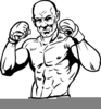 Mma Gloves Clipart Image