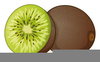 Free Kiwi Fruit Clipart Image