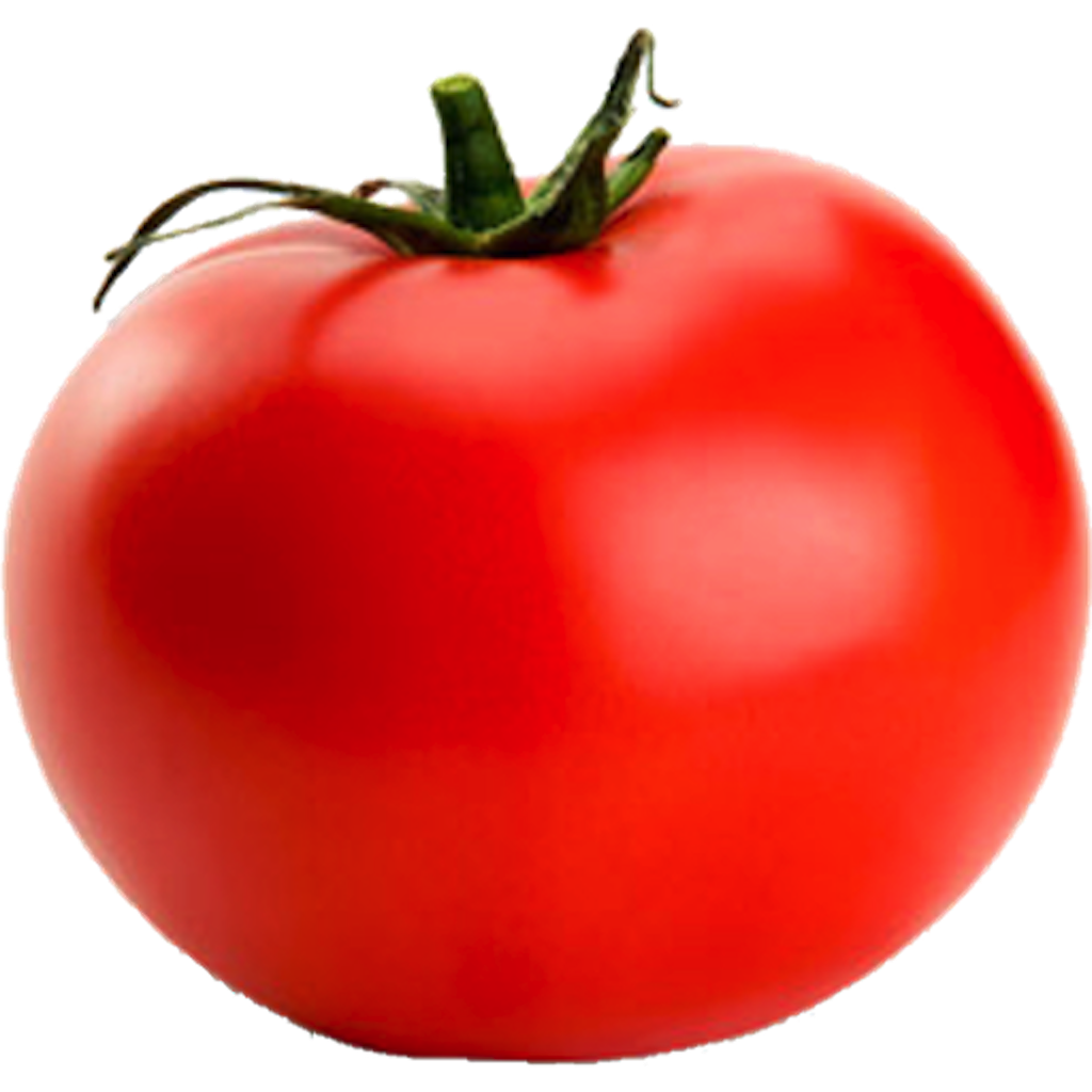 clipart of tomato - photo #29