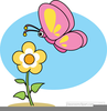 Free Butterfly Clipart For Mac Image