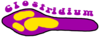 Clostridiumrecords Logo Image