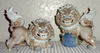 Chinese Lion Dogs Image