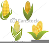 Free Vector Corn Clipart Image
