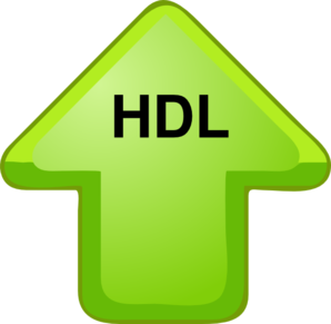 Hdl Cholesterol Up Arrow Clip Art At Clker Com Vector Clip Art Online Royalty Free Public Domain