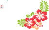 Hibiscus Beauty Clip Art
