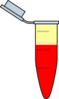 Eppendorf With Blood, Wbc And Plasma Clip Art