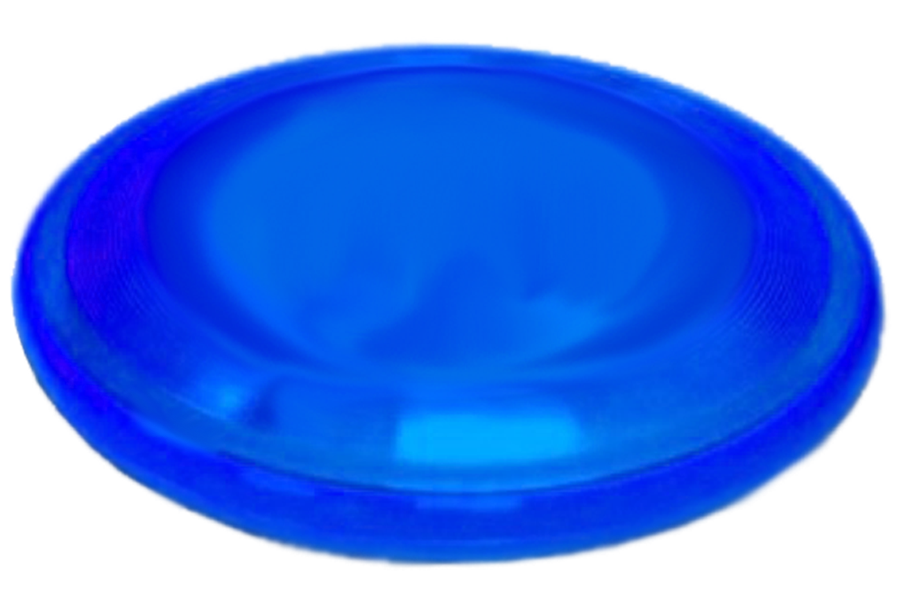 blue frisbee