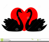 Swan Clipart Images Image