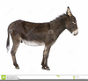 Clipart Of Donkey Image