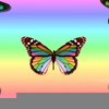 Butterflies Animated Clipart Image