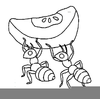 Printable Ant Clipart Image