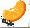 Clipart Picnic Ant Image