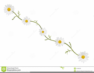 Free Daisy Clipart Border Images