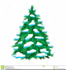 Pine Tree Clipart Free Image