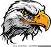 Bald Eagle Free Clipart Image