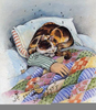 Cat Sleeping Art Image