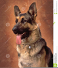 German Shepherd Clipart Free Image