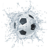 Soccer Image