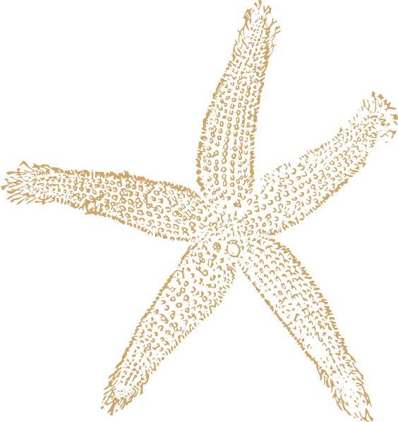 Beach Starfish For Wedding Clip Art At Clker Com Vector Clip Art