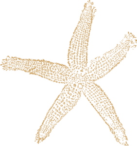 Beach Starfish For Wedding Clip Art At Clker Com Vector Clip Art