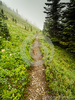 Straight And Narrow Path Clipart Image