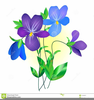 Free Clipart Of A Violet Image
