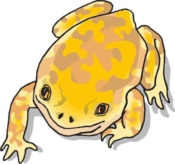 yellow frog clipart - photo #11