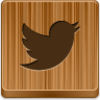 Twitter Bird Icon Image