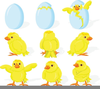 New Year Chick Clipart Image