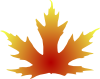 Maple Leaf Clip Art