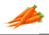 Carrot Cake Clipart Image