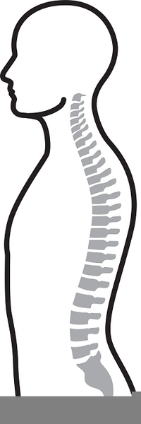 chiropractic spine clipart