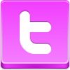 Twitter Icon Image