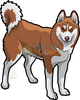 Husky Dog Clipart Image